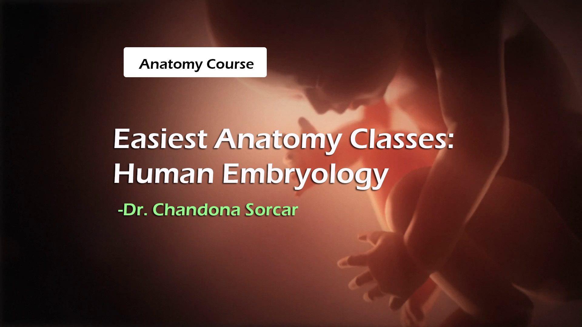 Easiest Anatomy Classes: Human Embryology
