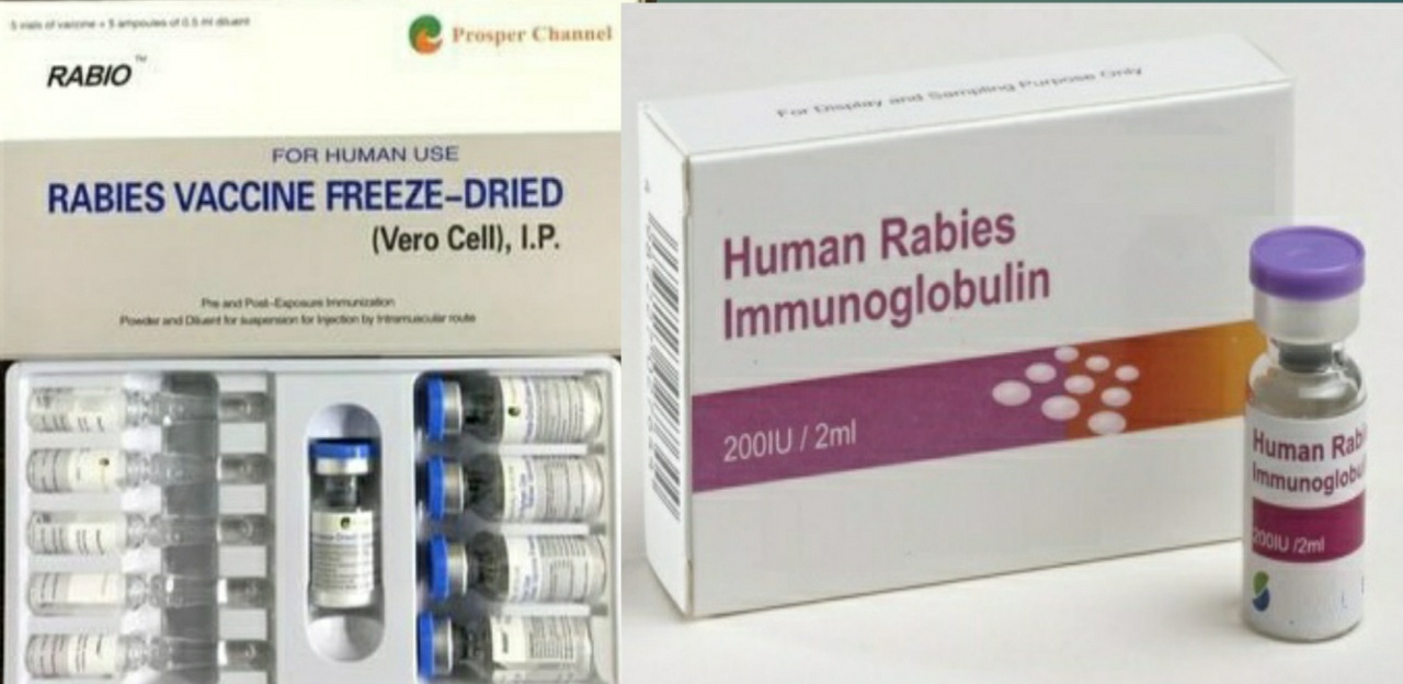 Rabies : A Deadly Virus with Absolute Mortality – Platform | CME