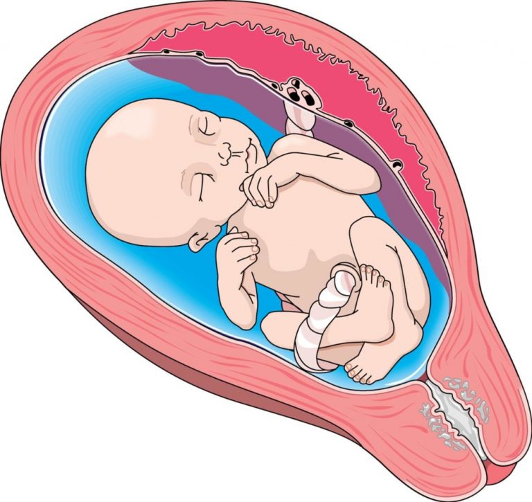 gynaecology-obstretrics-platform-cme