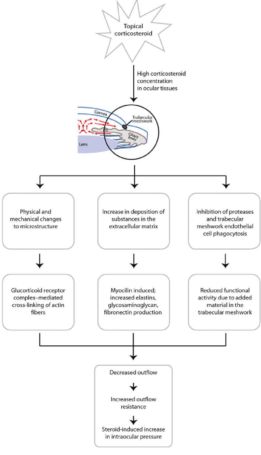 Steroids and What’s the connection? Platform CME