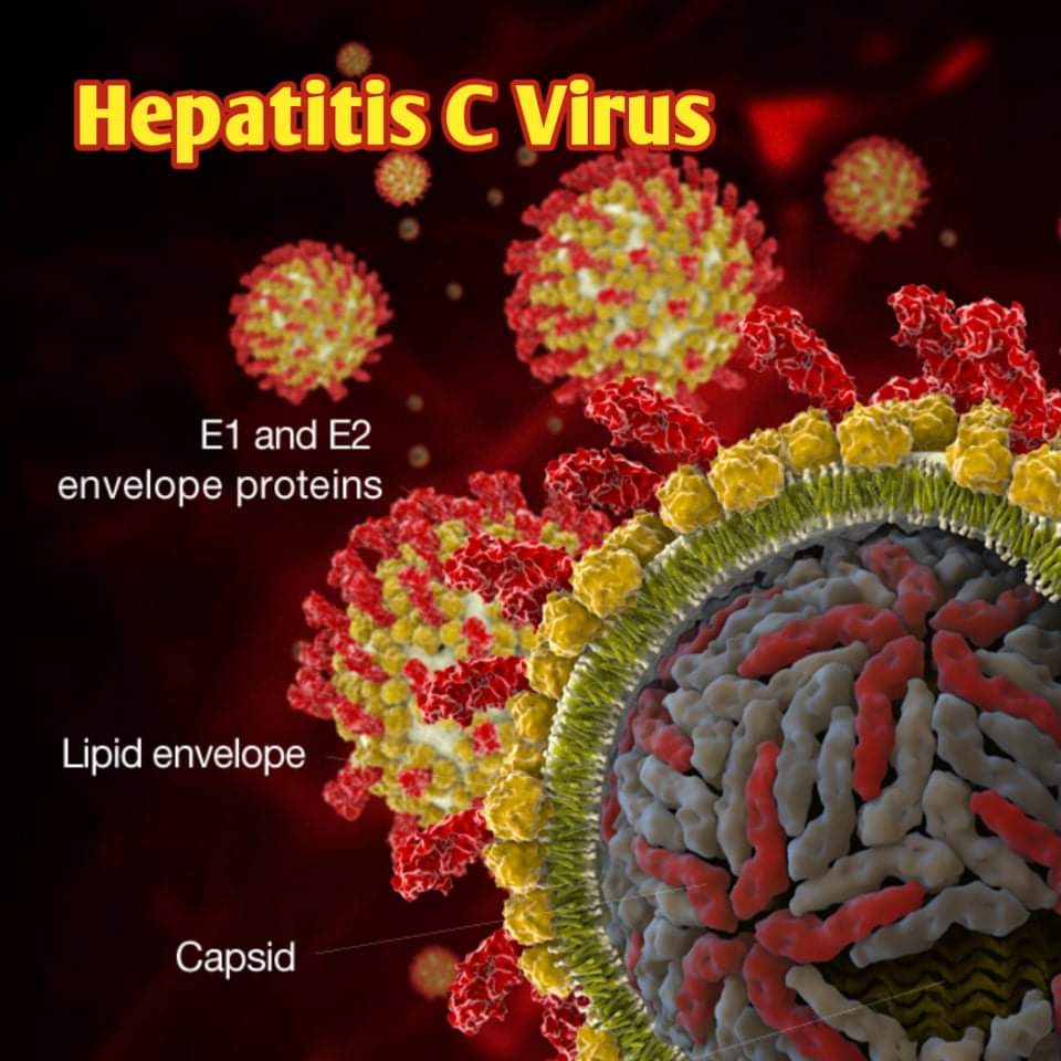 Гепатит 100. Вирус гепатита с (HCV). Вирус гепатита в. Вирус гепатита с фото.